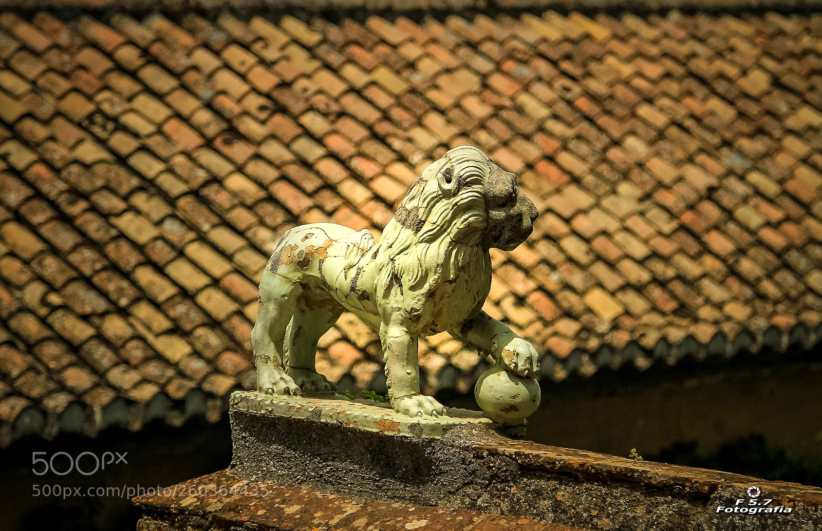 Canon EOS 7D sample photo. Palacios nazaries 16 photography