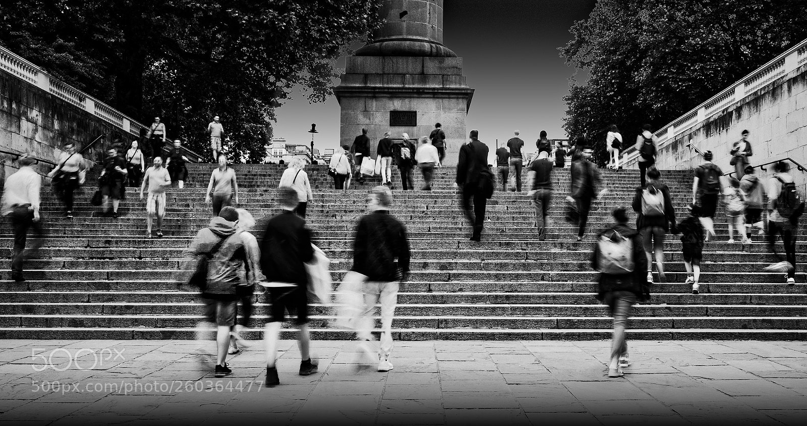 Canon EOS-1D X Mark II sample photo. Brownian motion photography