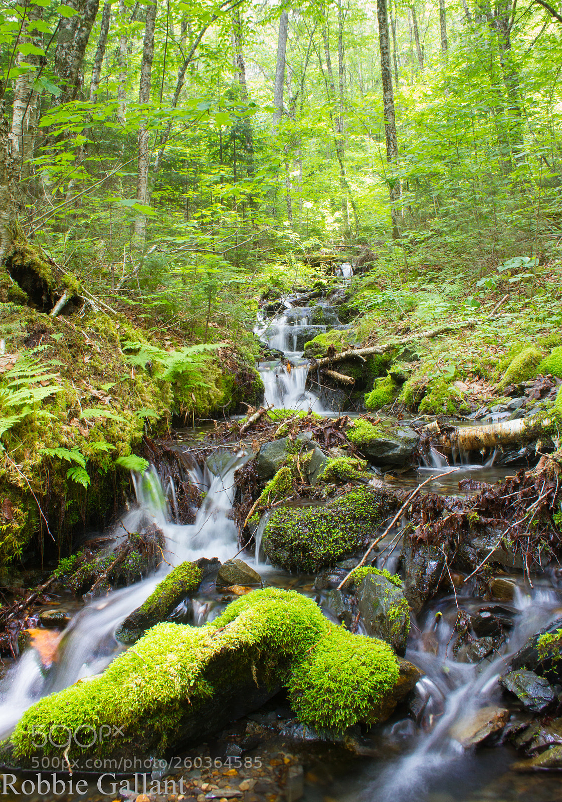 Canon EOS 7D sample photo. Mount carleton, nb, canada photography