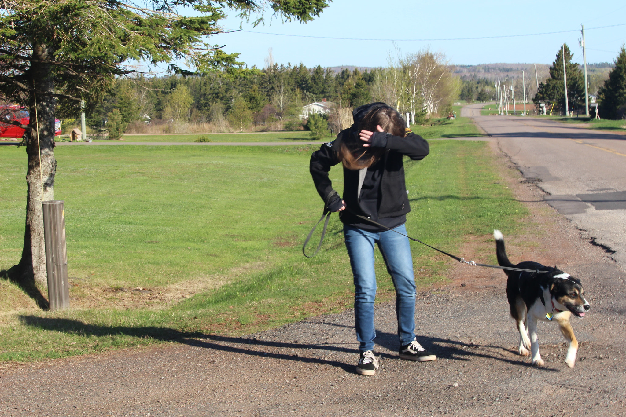 Canon EF-S 55-250mm F4-5.6 IS STM sample photo. Img photography