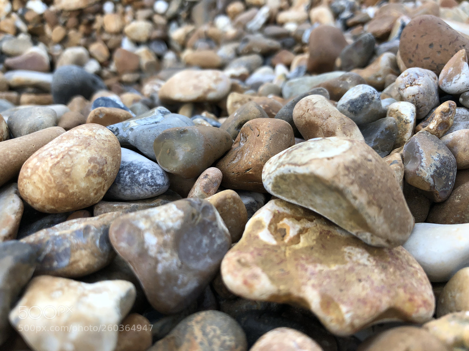Apple iPhone X sample photo. Untitled photography