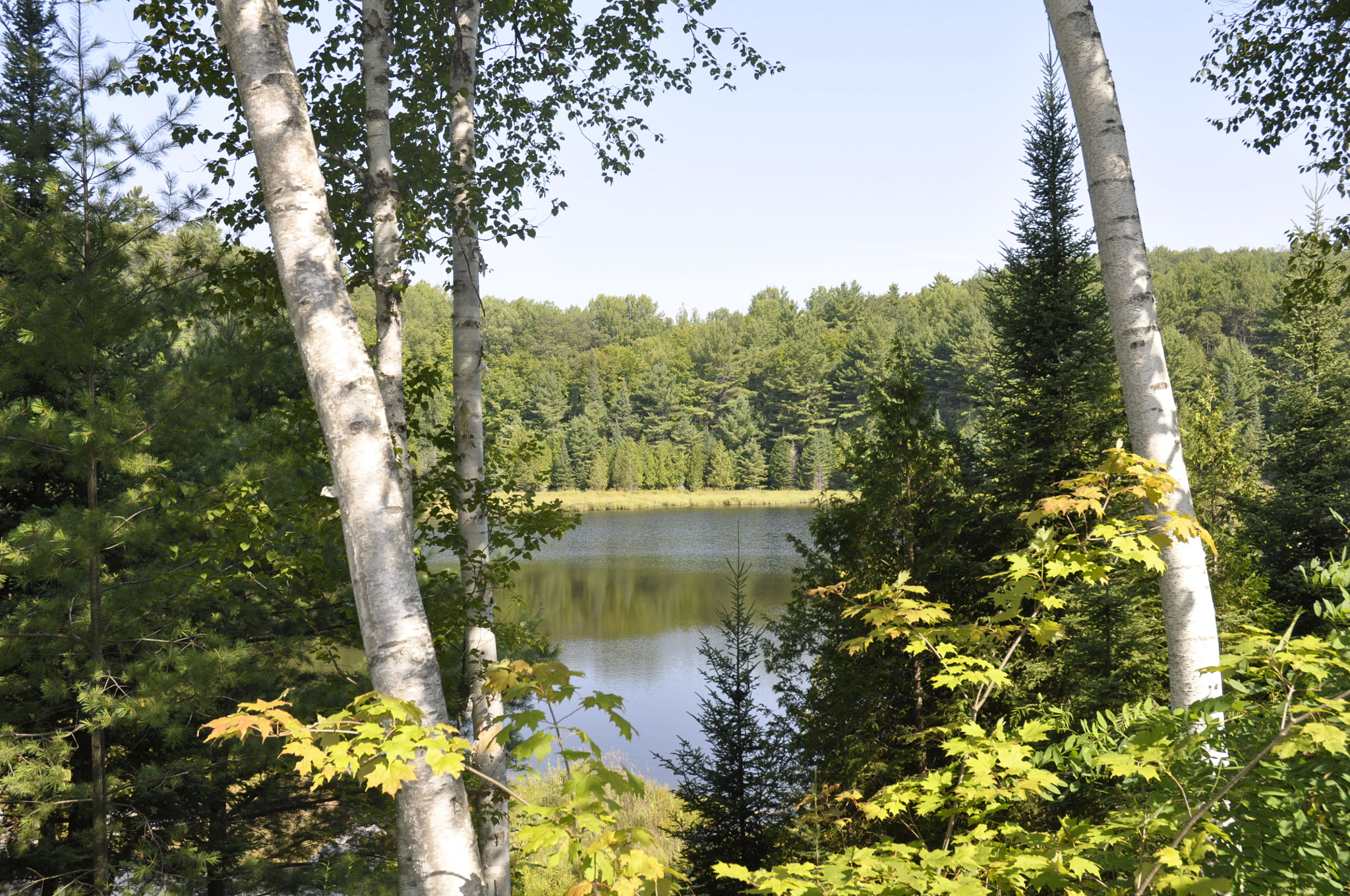 Nikon D90 sample photo. Northern ontario photography