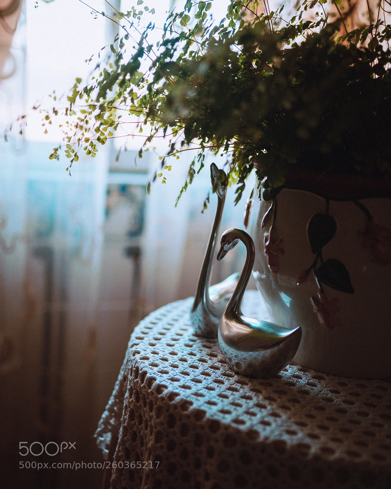 Nikon D610 sample photo. Untitled photography