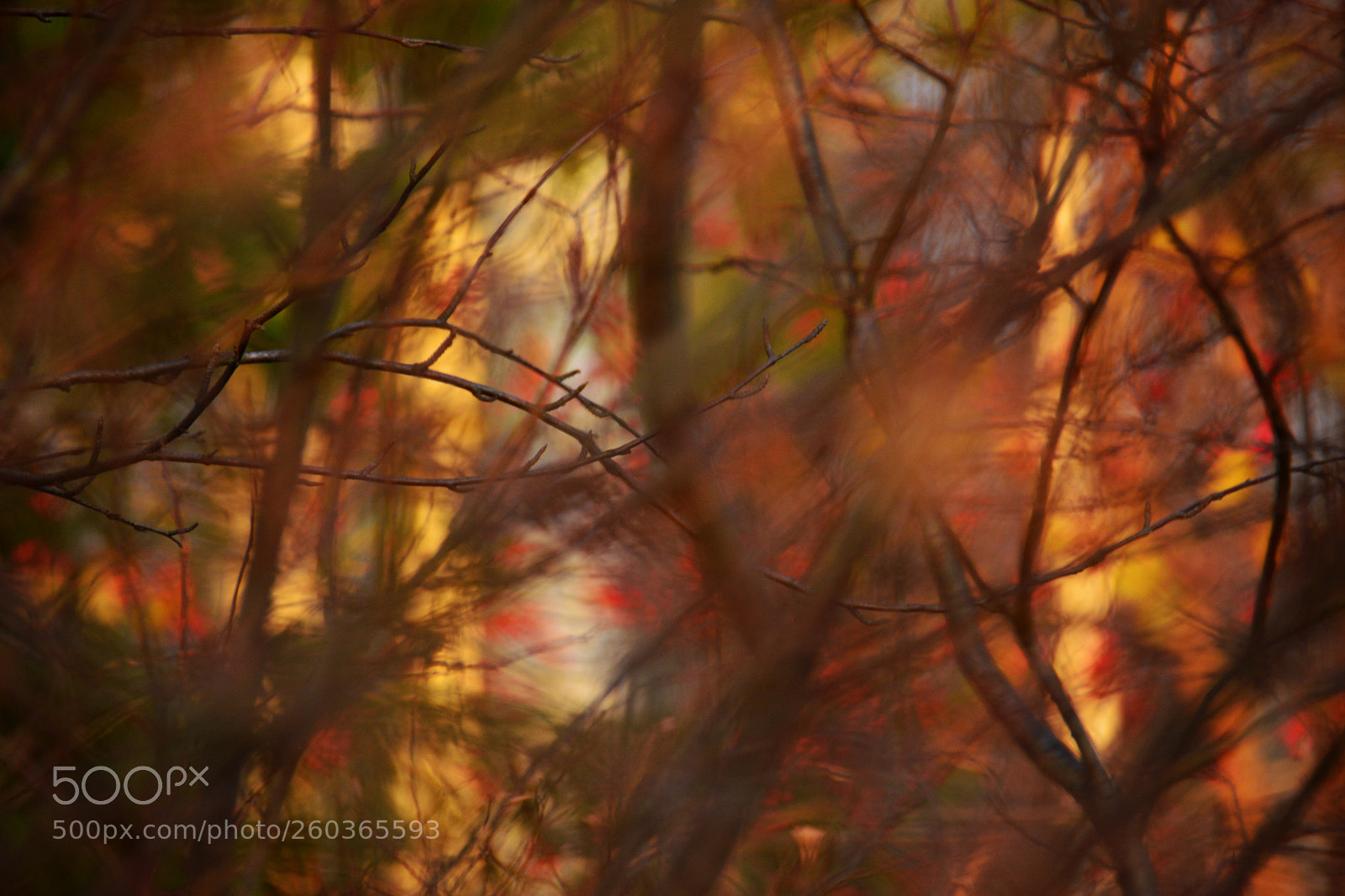 Nikon D7100 sample photo. Warmth of decay #3 photography
