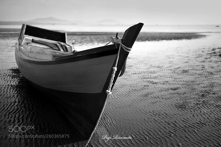 Nikon D610 sample photo. From bangka island photography