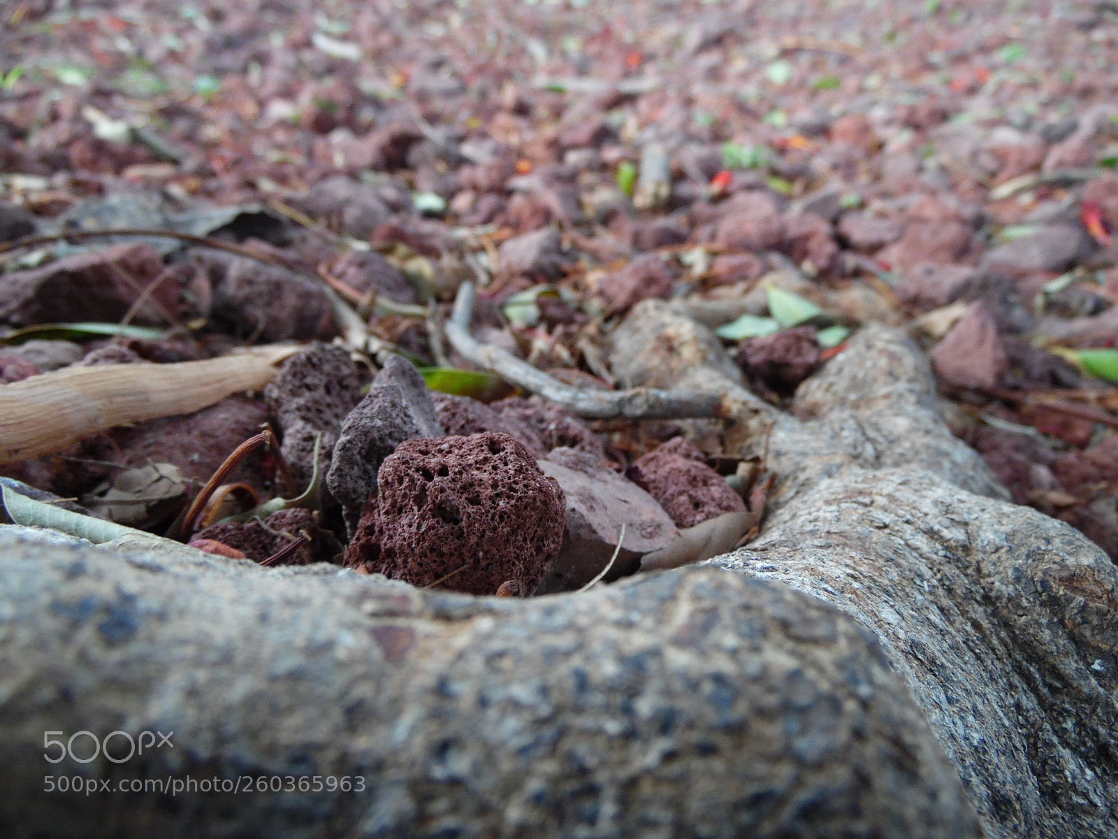 Samsung WB1100F/WB1101F/WB1102F sample photo. Feel photography