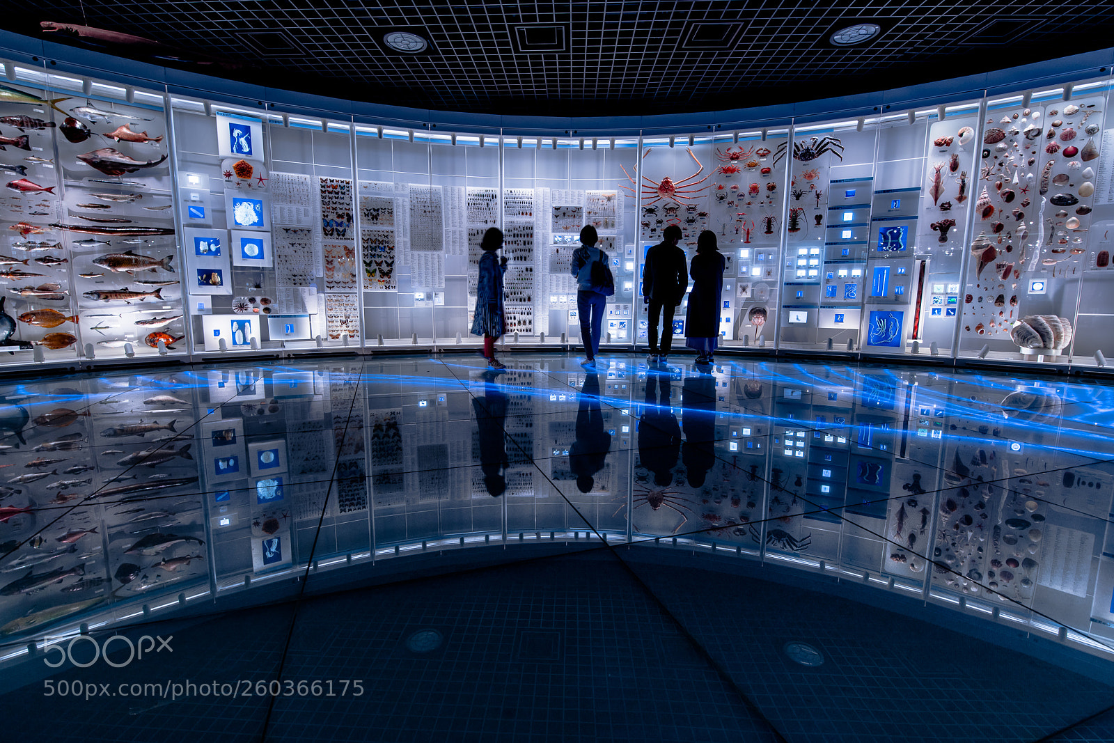 Sony a99 II sample photo. Parallel sign2 photography