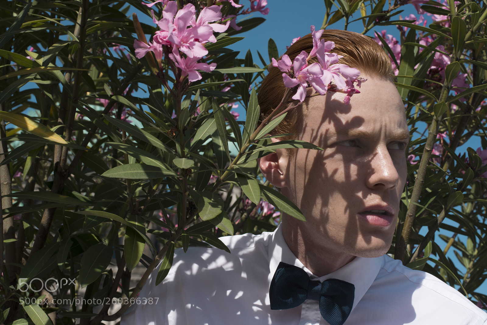 Nikon D800 sample photo. Fabian photographed by navo photography