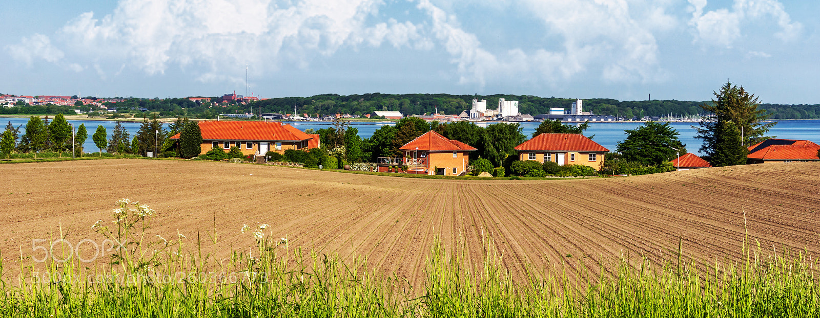 Sony ILCA-77M2 sample photo. View to skive photography