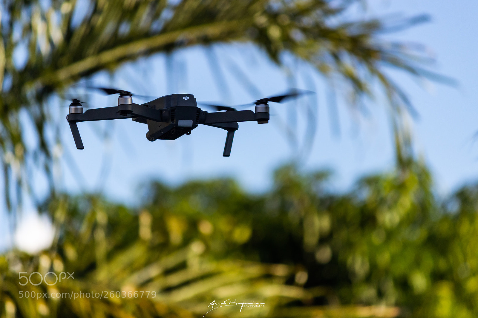 Canon EOS 600D (Rebel EOS T3i / EOS Kiss X5) sample photo. Drone natureza photography