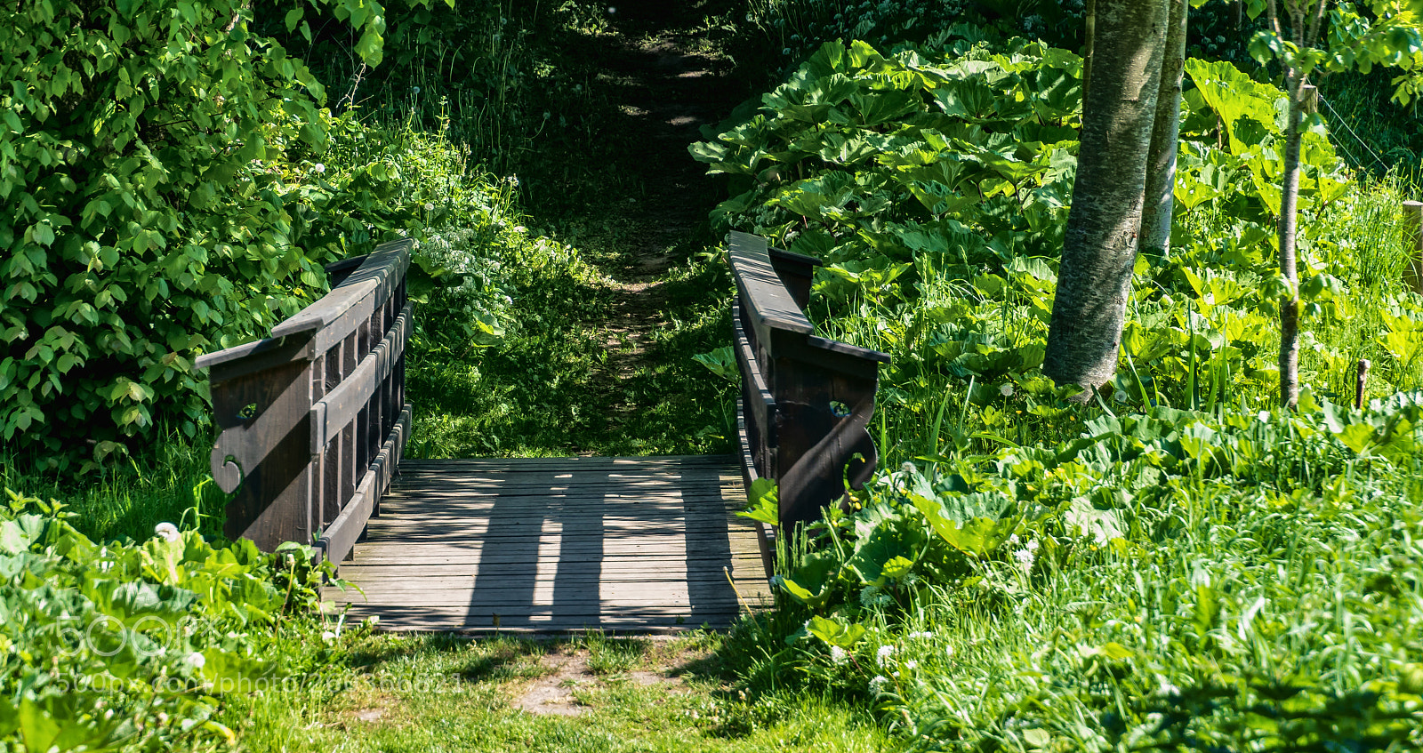 Sony ILCA-77M2 sample photo. Bridge photography