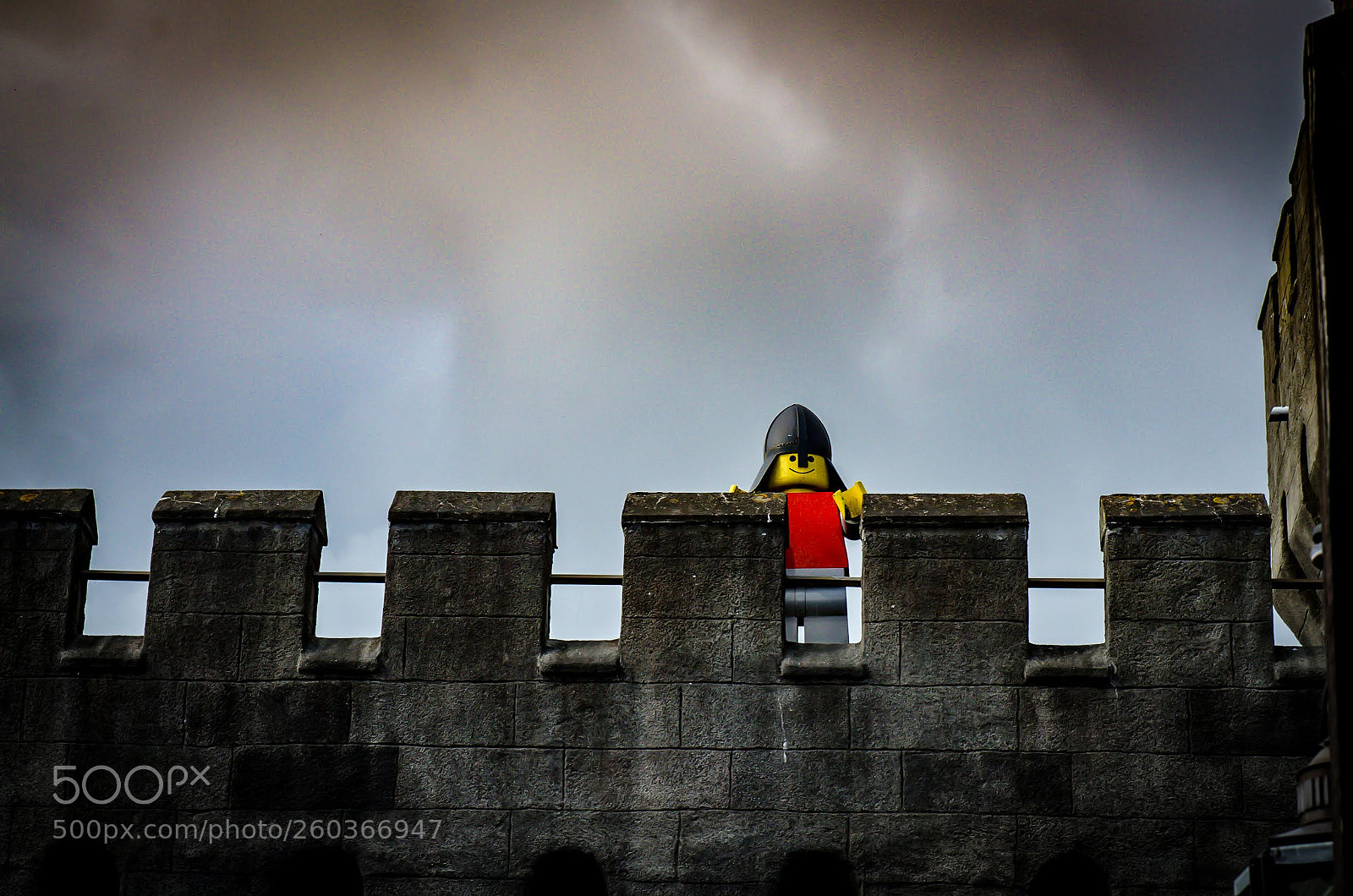 Nikon D7000 sample photo. Smiling guard photography