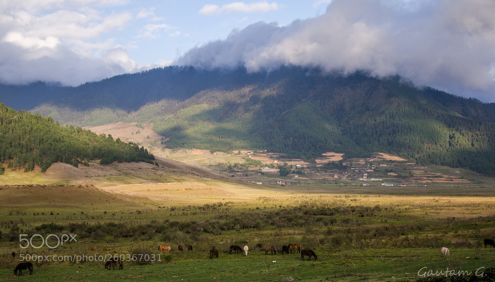 Nikon D7000 sample photo. Shadows in the valley photography