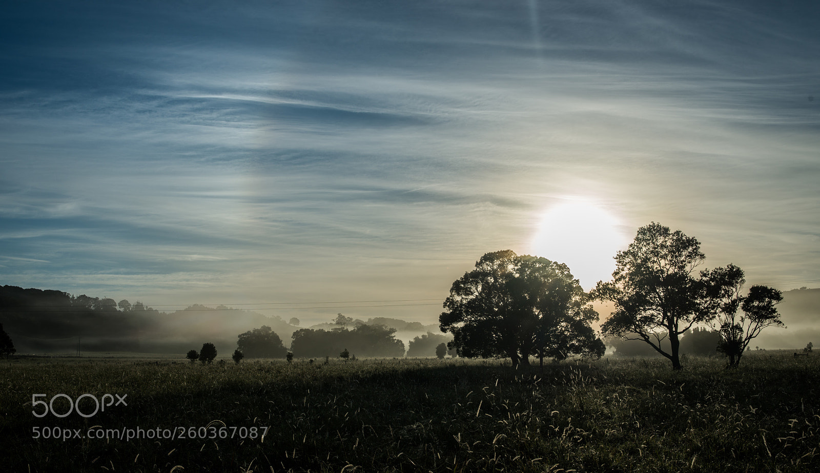 Nikon D610 sample photo. Foggy sunrise photography