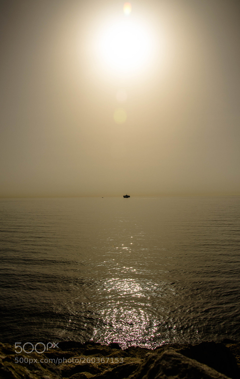 Nikon D5100 sample photo. Mar photography
