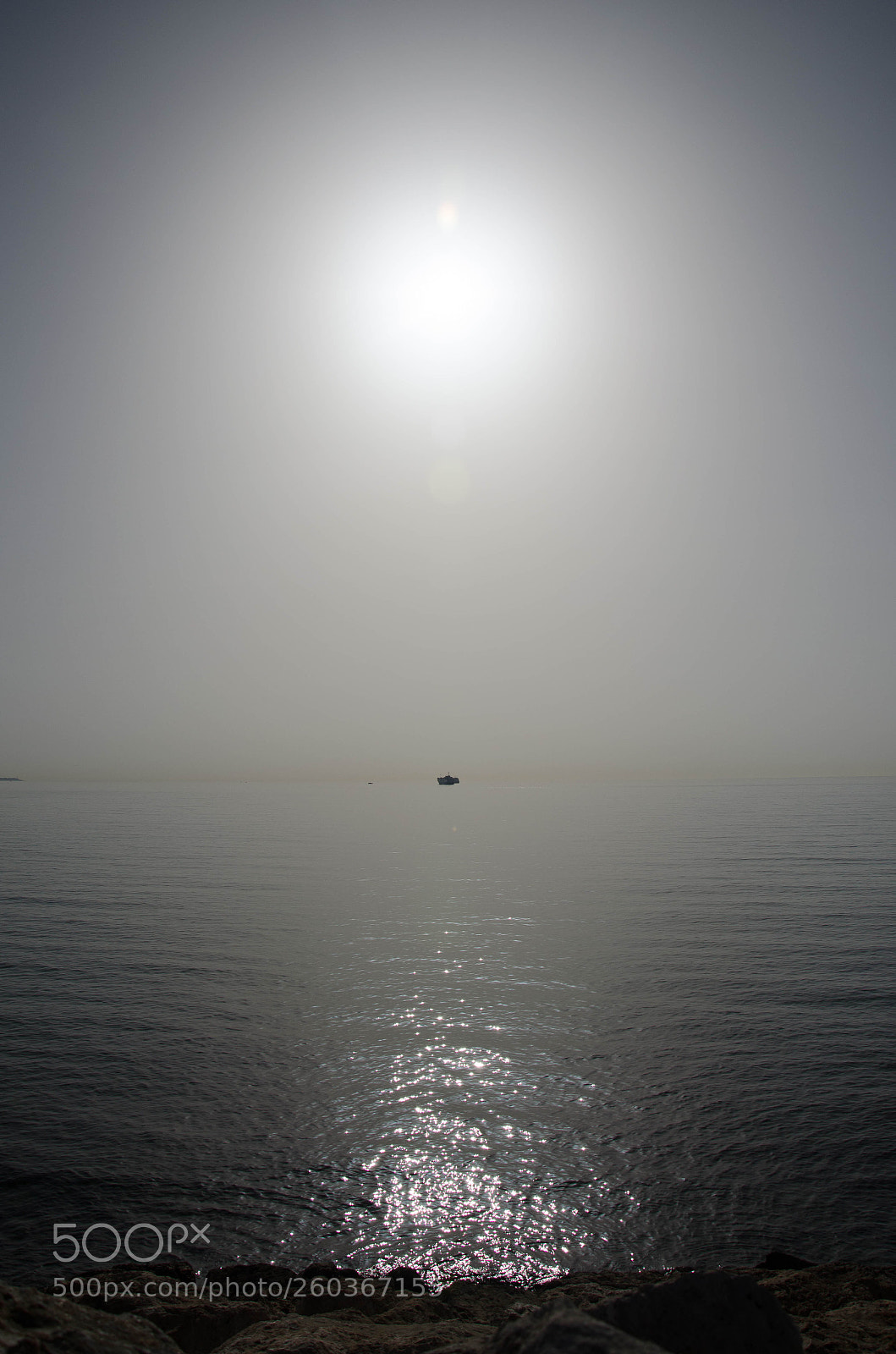 Nikon D5100 sample photo. Mar photography
