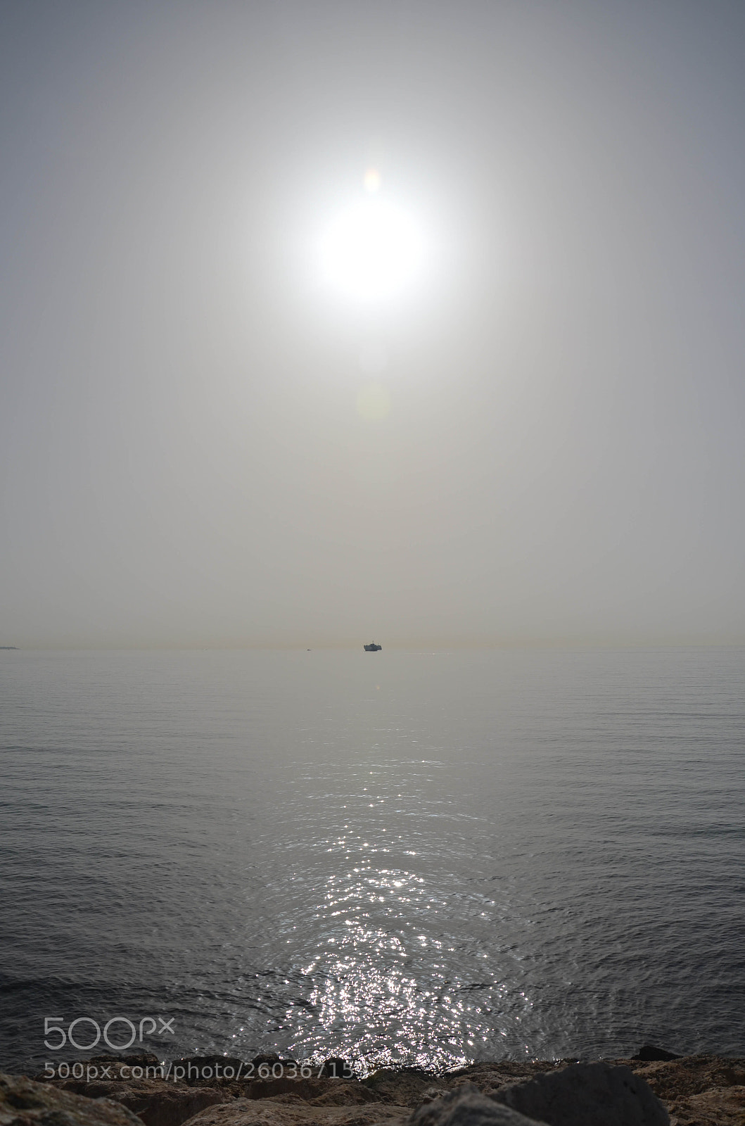 Nikon D5100 sample photo. Mar photography