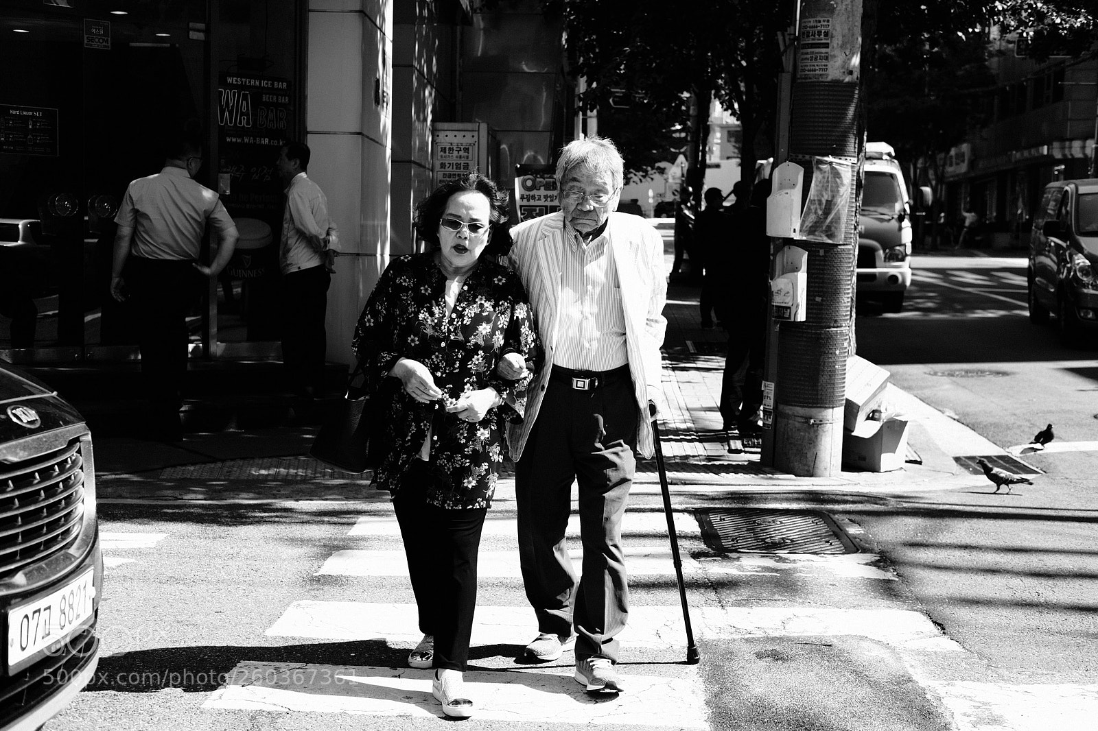Fujifilm X-Pro2 sample photo. The best friend photography