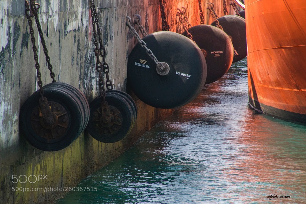 Nikon D5300 sample photo. Sea guard photography