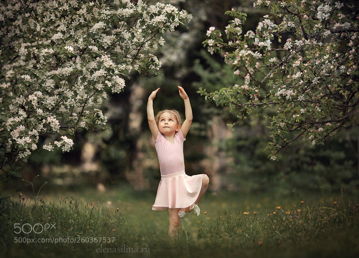 Canon EOS 5D Mark II sample photo. Untitled photography