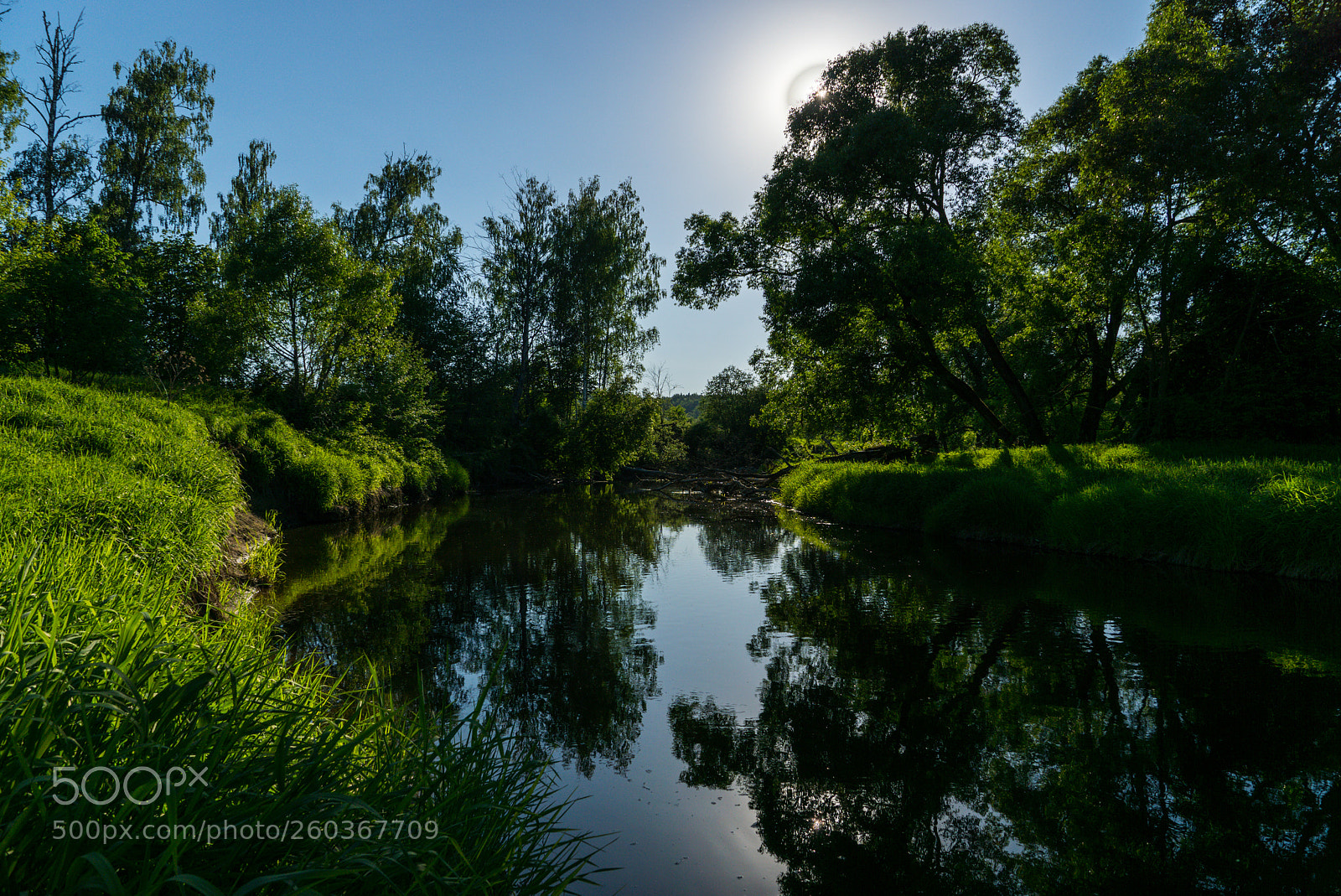 Sony ILCA-77M2 sample photo. "istra" river, spring beauty photography