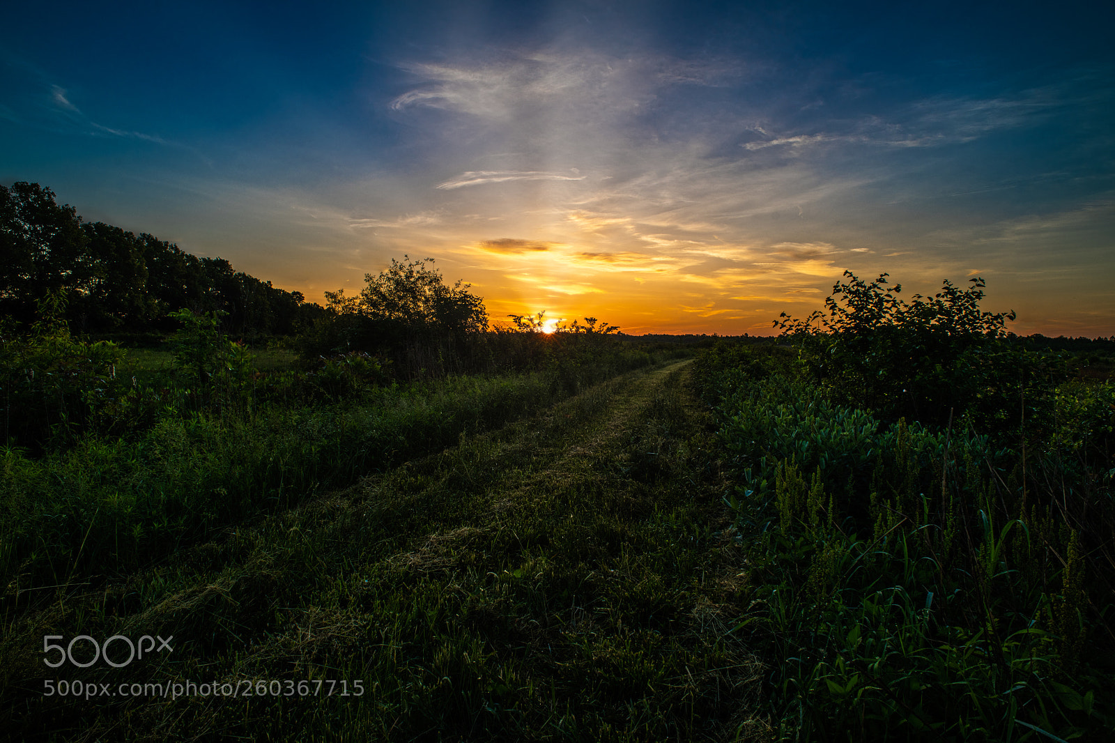 Nikon D850 sample photo. Sunrise road photography