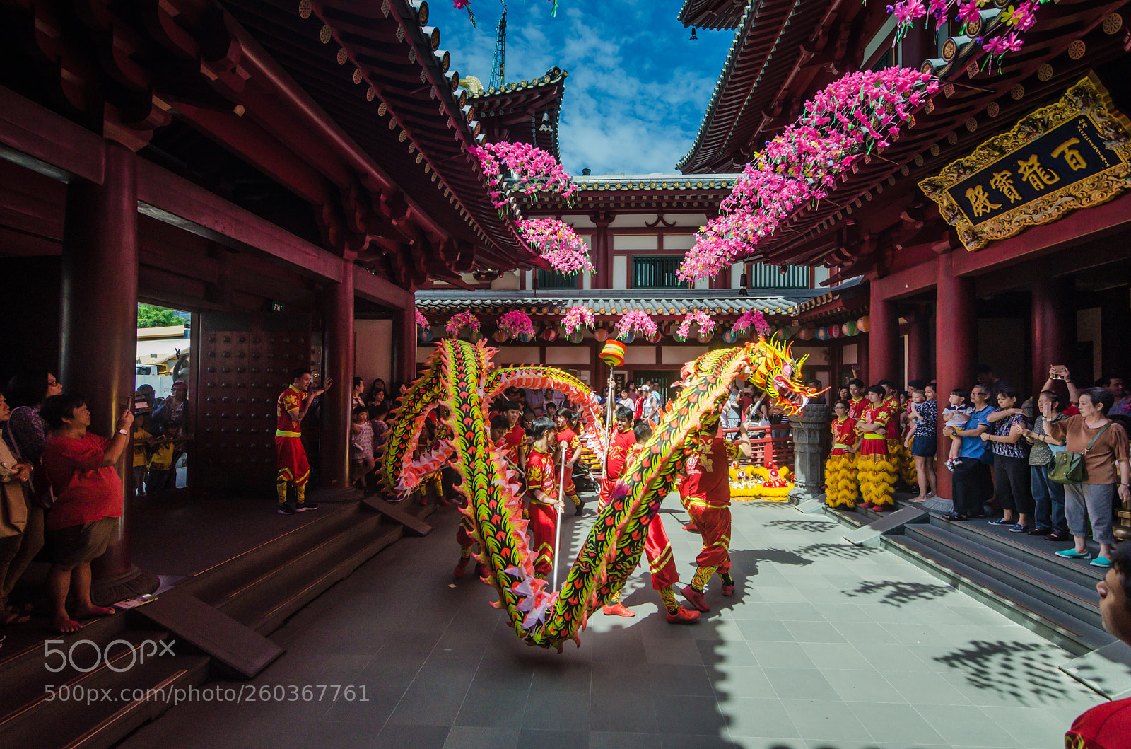 Nikon D5100 sample photo. Dragon dance photography