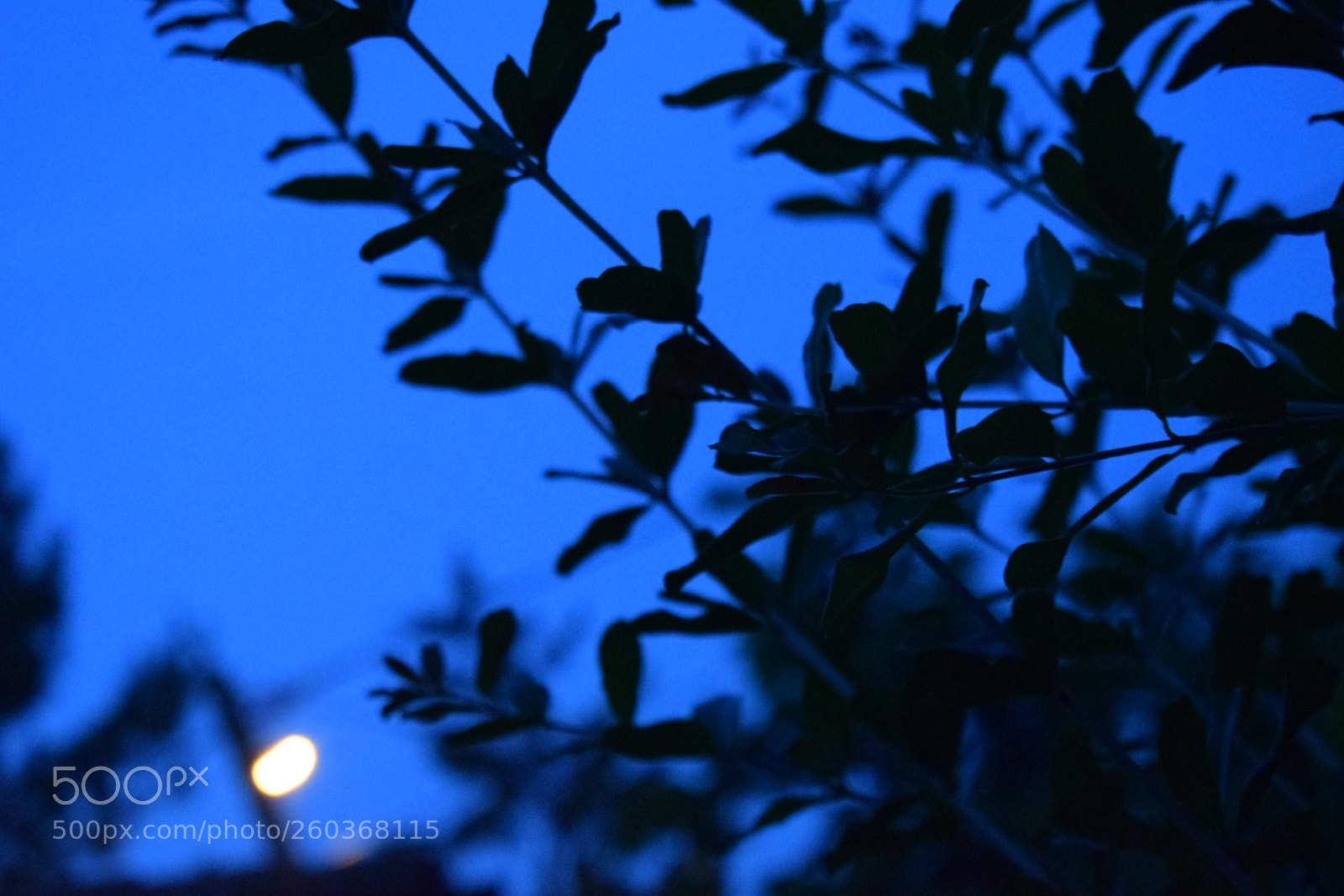 Nikon D5300 sample photo. Untitled photography