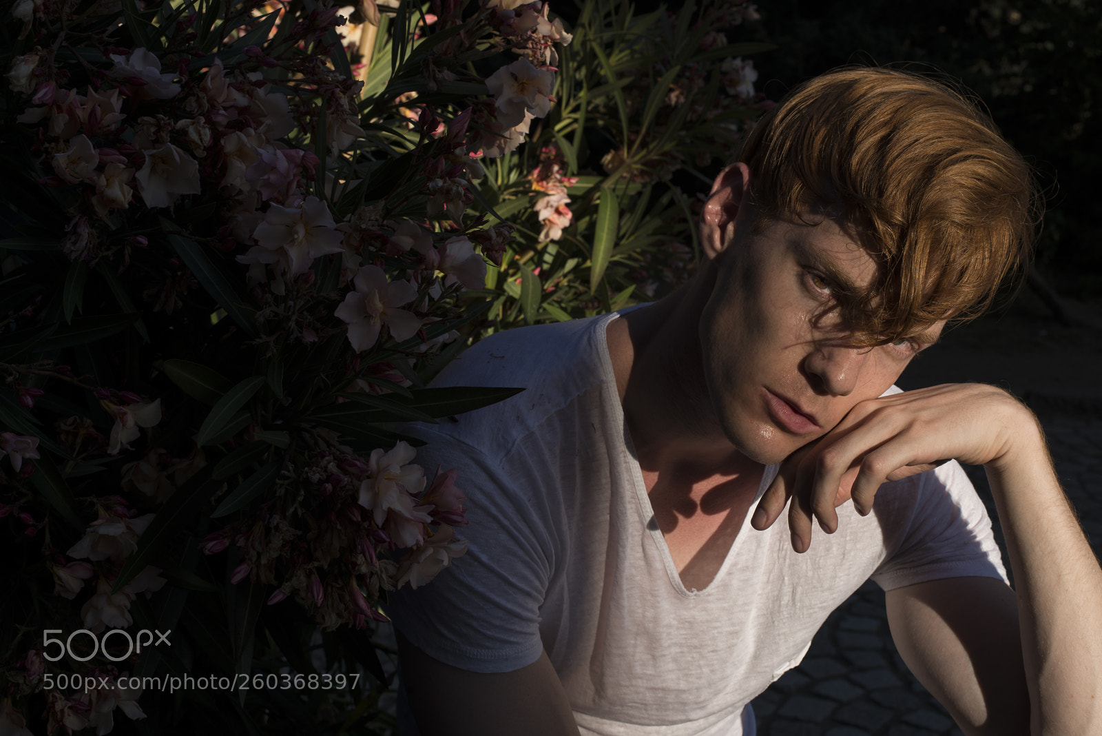 Nikon D800 sample photo. Fabian photographed by navo photography