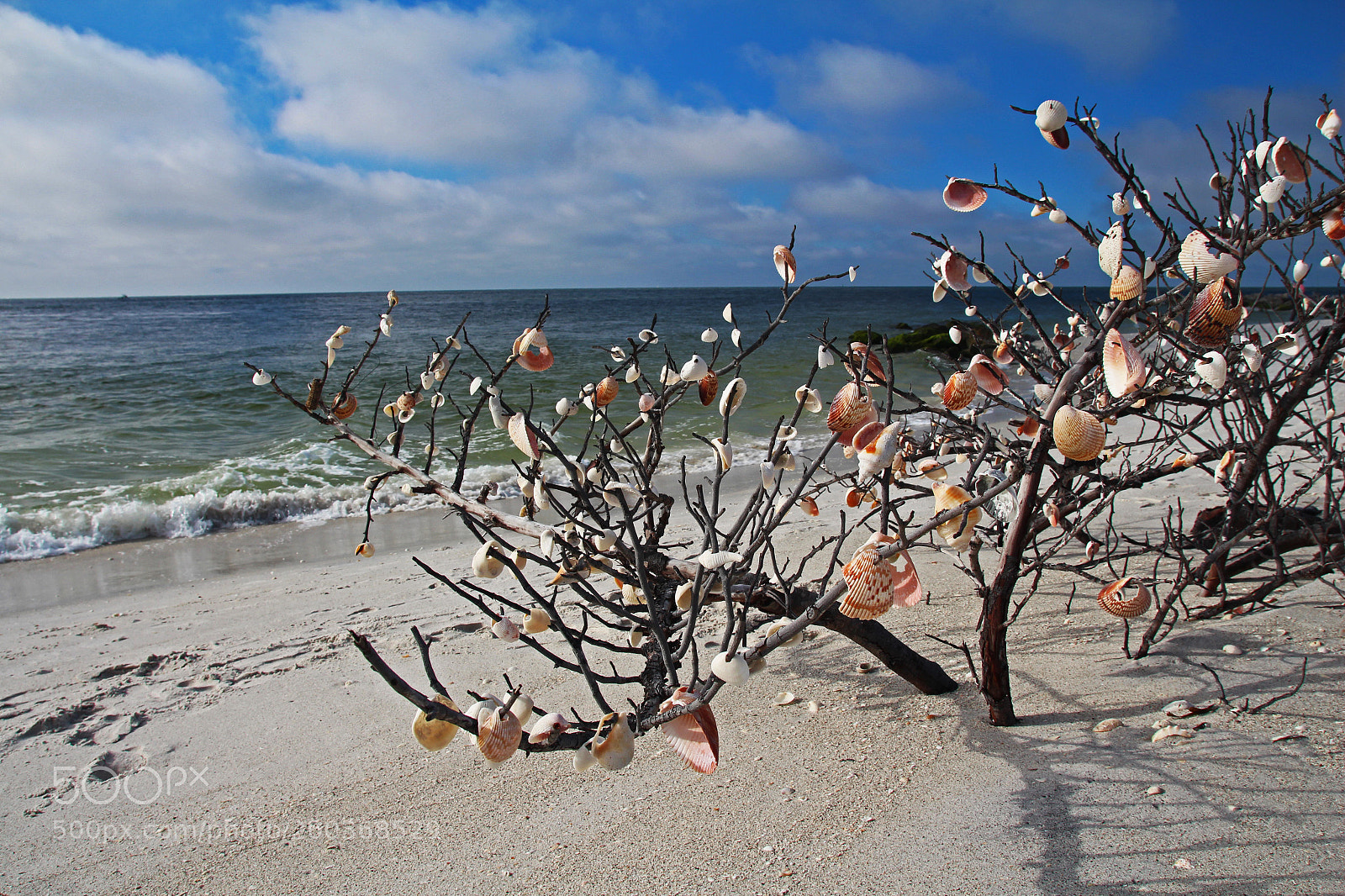 Canon EOS 700D (EOS Rebel T5i / EOS Kiss X7i) sample photo. Sacred whispers photography