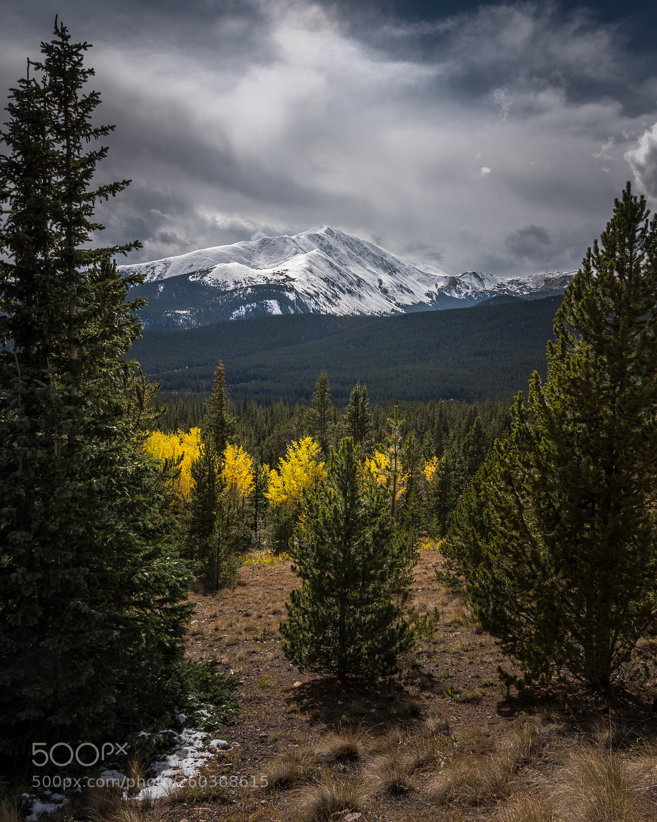 Nikon D750 sample photo. Snowy rockies in autumn photography