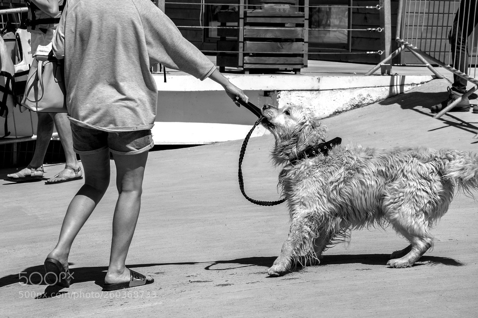 Nikon D7100 sample photo. Bw photography
