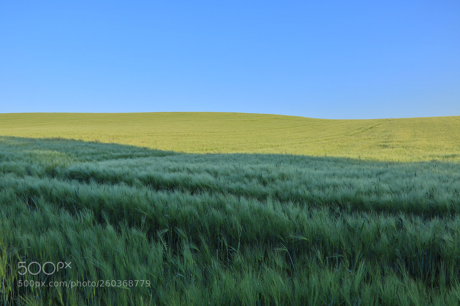 Canon EOS 7D Mark II sample photo. The flag photography