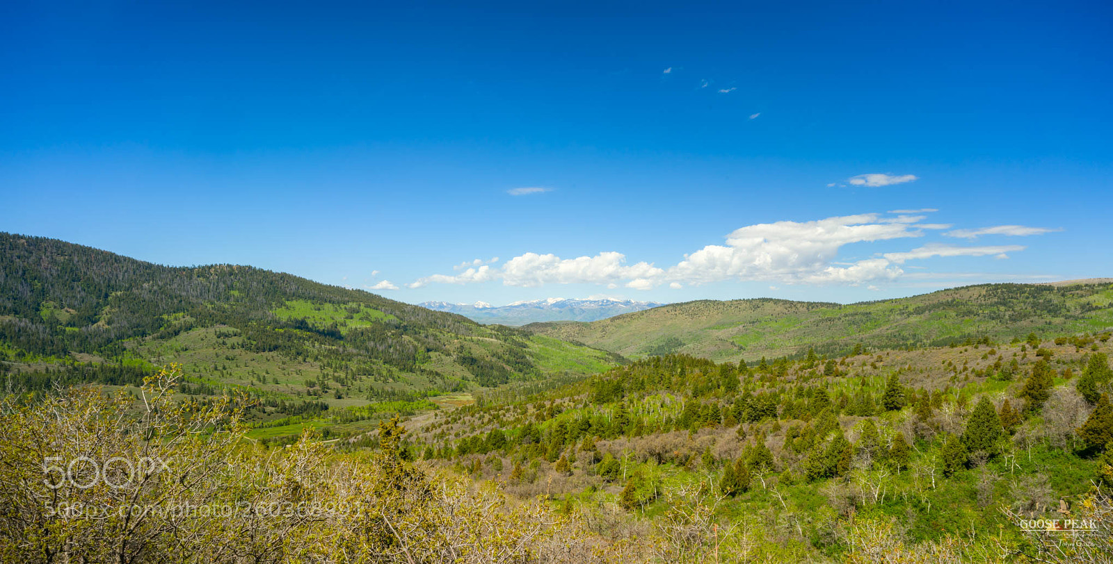 Sony a7R II sample photo. Green mountains photography