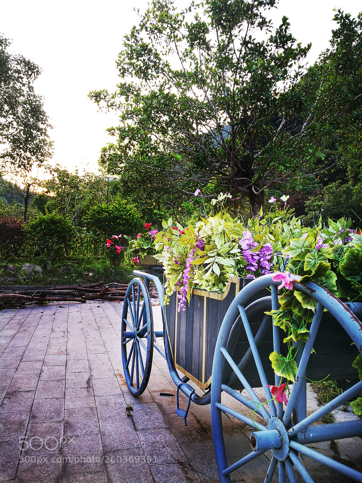 HUAWEI Mate 10 Pro sample photo. Untitled photography