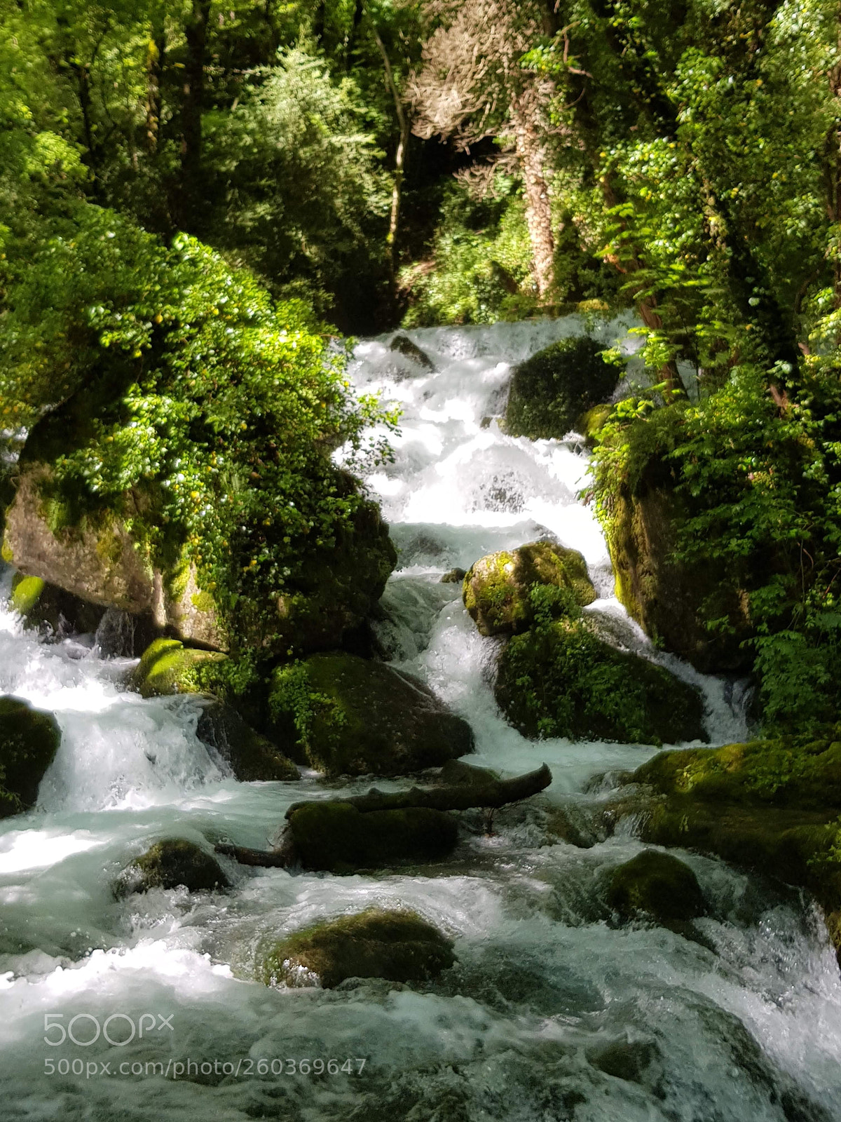 Samsung Galaxy S8 sample photo. Nature photography