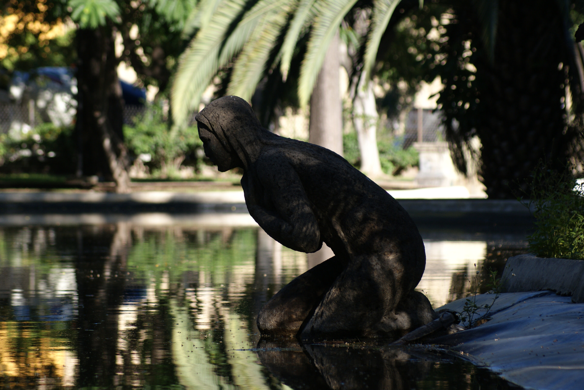 Sony 75-300mm F4.5-5.6 sample photo. Fuente photography