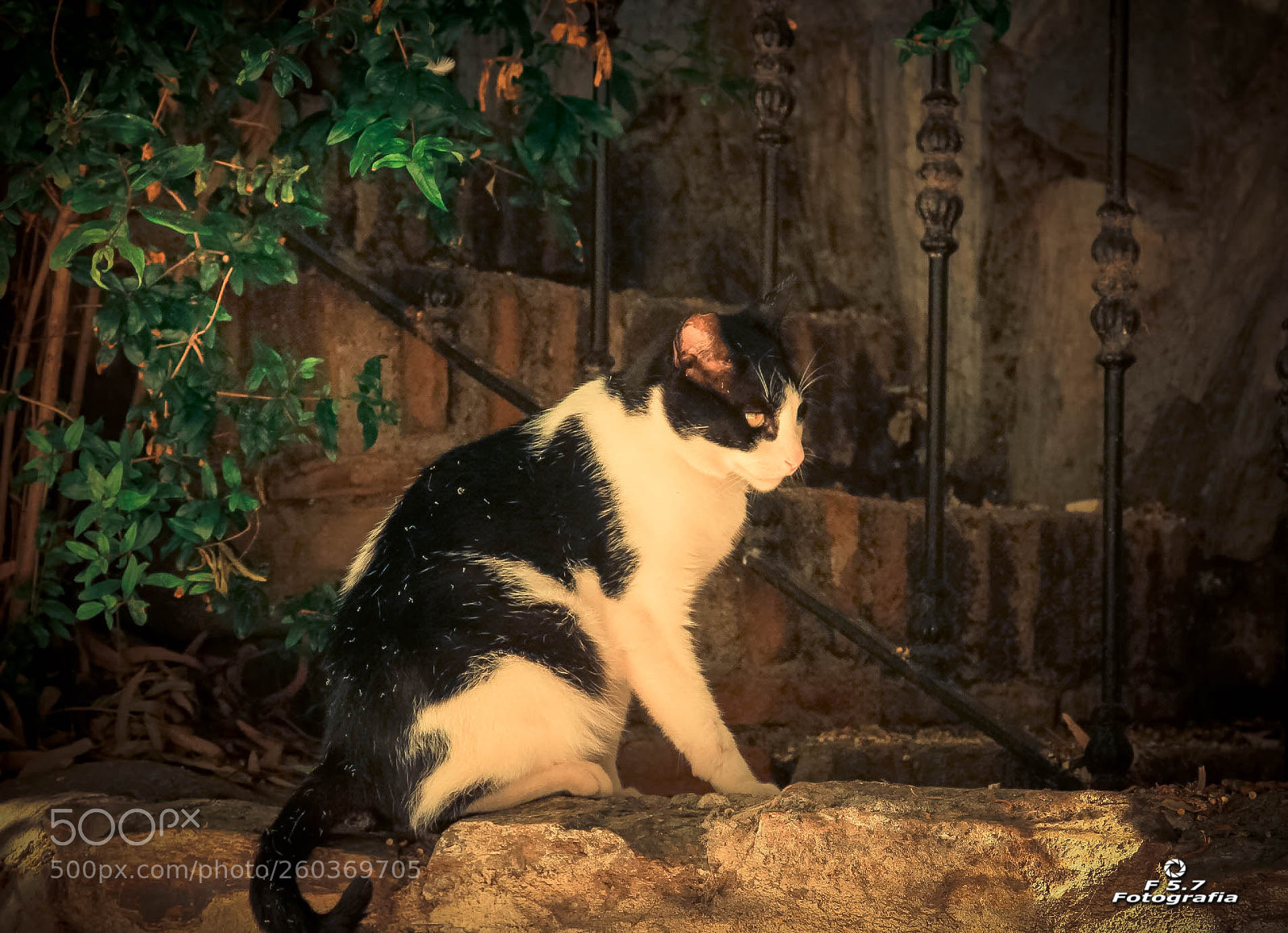 Canon EOS 7D sample photo. Petit - alcazaba photography