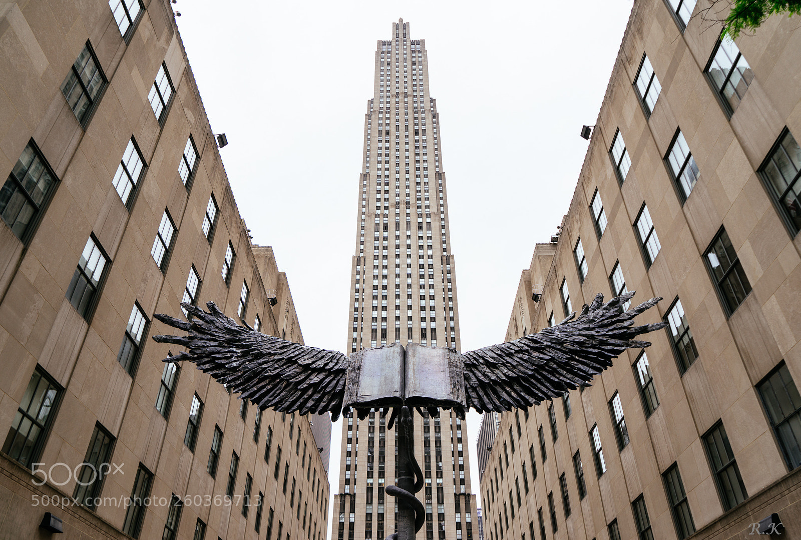 Sony a7R sample photo. Amazing things happen daily photography