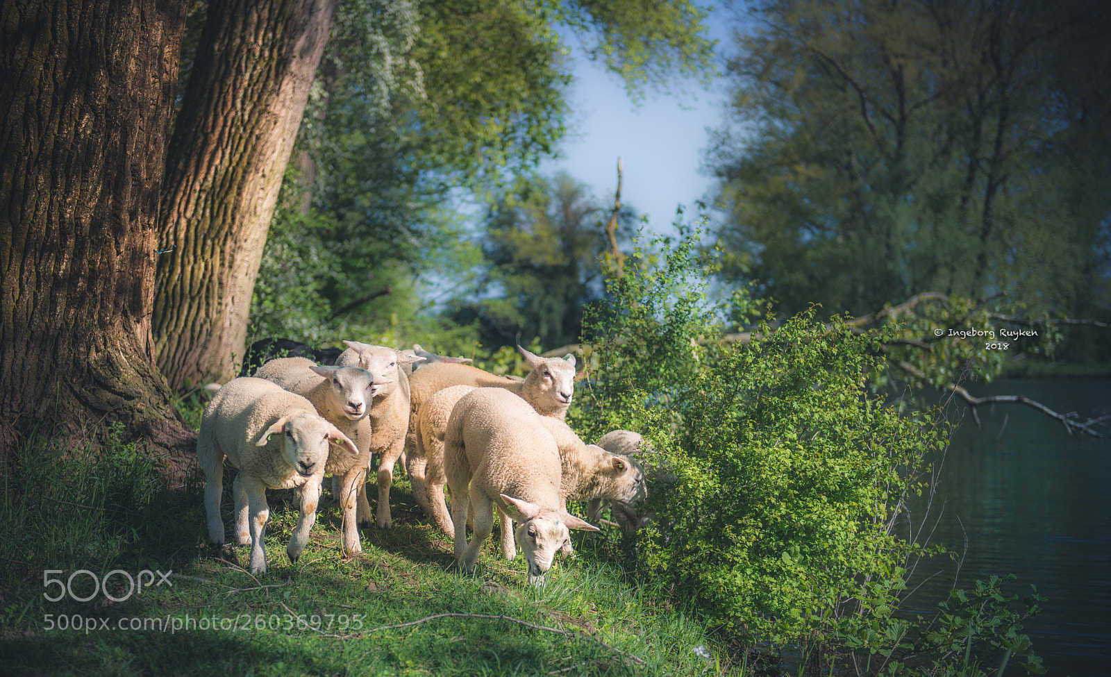 Nikon D800 sample photo. Play, learn and grow photography