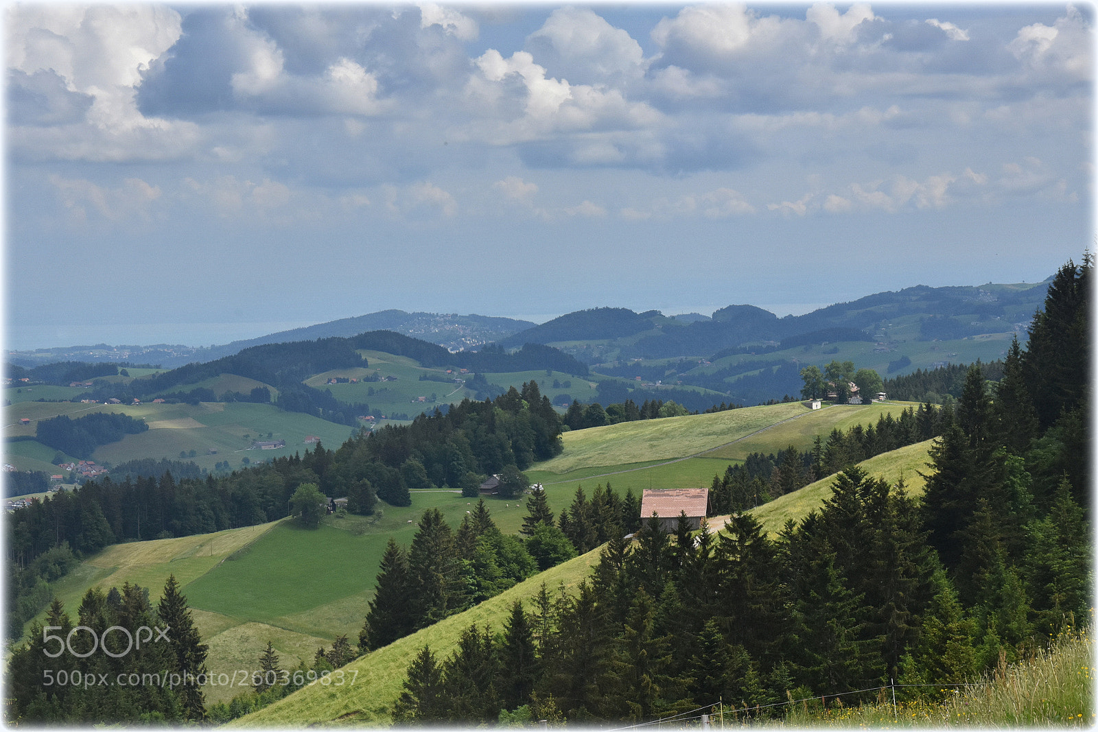 Nikon D7200 sample photo. "view" photography