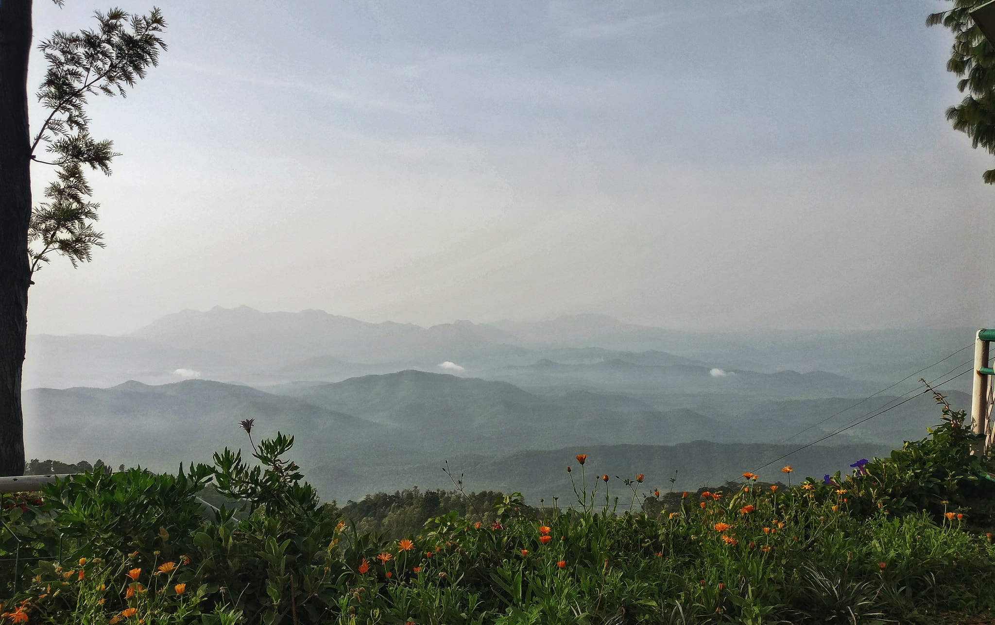 OnePlus A3003 sample photo. View from the lawn at devashola tea estate photography