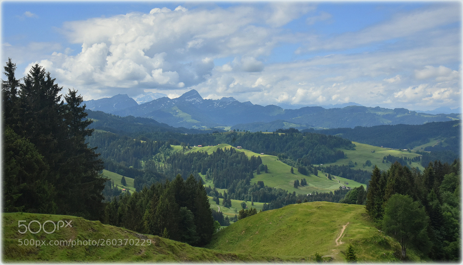 Nikon D7200 sample photo. "hochhamm;schönengrund" photography