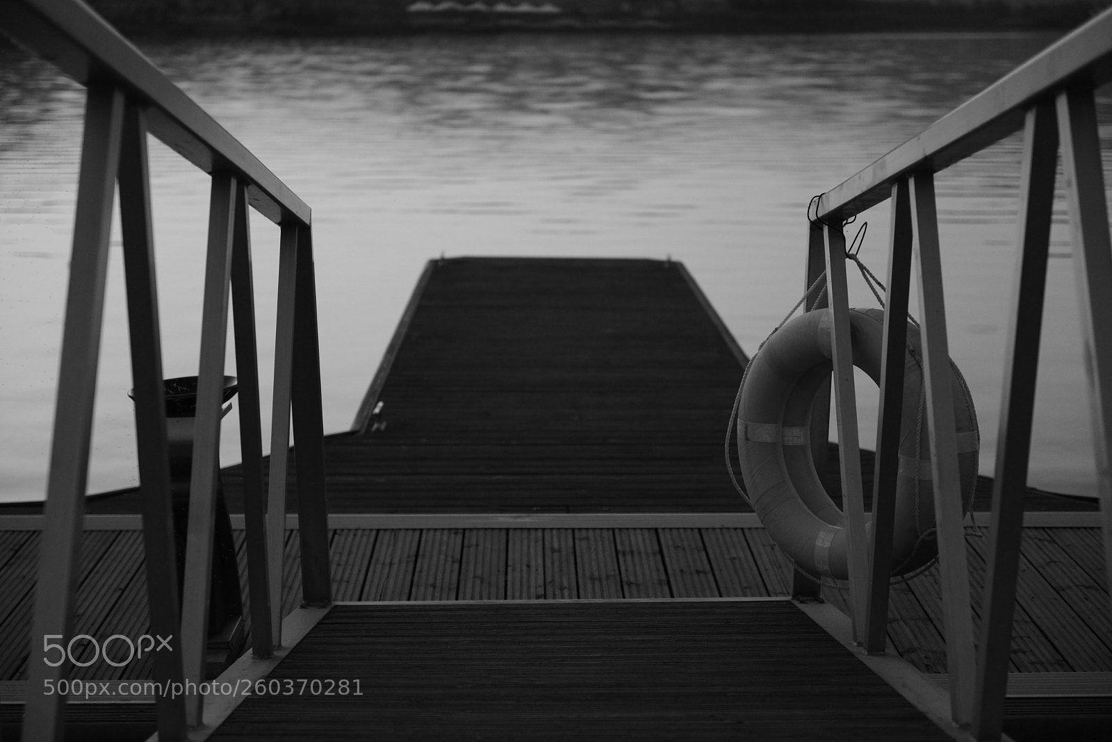 Nikon D800 sample photo. Untitled photography
