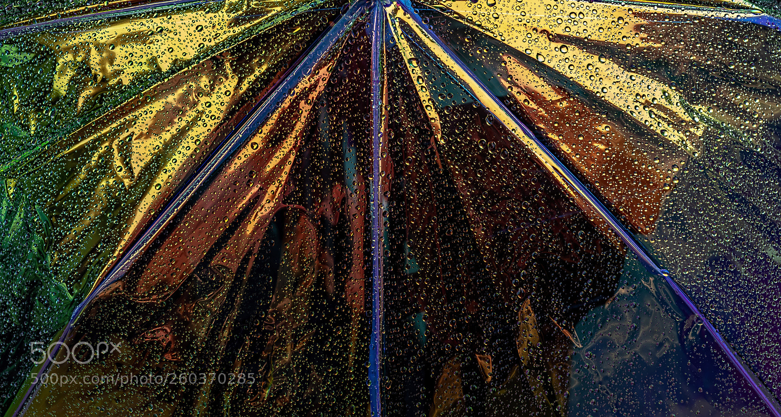 Canon EOS 5D Mark II sample photo. Multi colored mylar umbrella photography