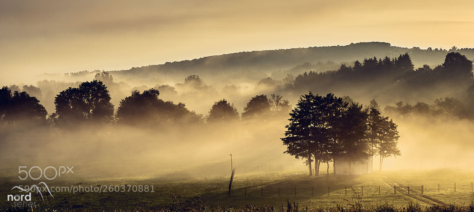 Sony ILCA-77M2 sample photo. Neckarnebel photography