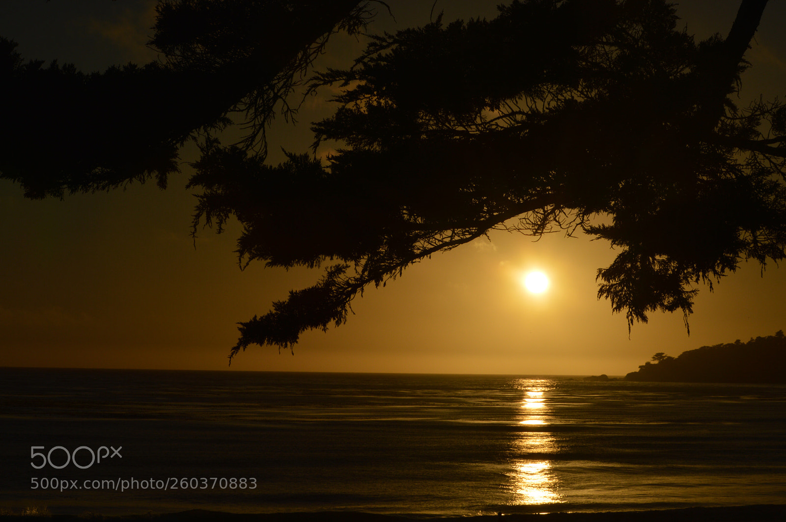 Nikon D3200 sample photo. Sunset in carmel  photography