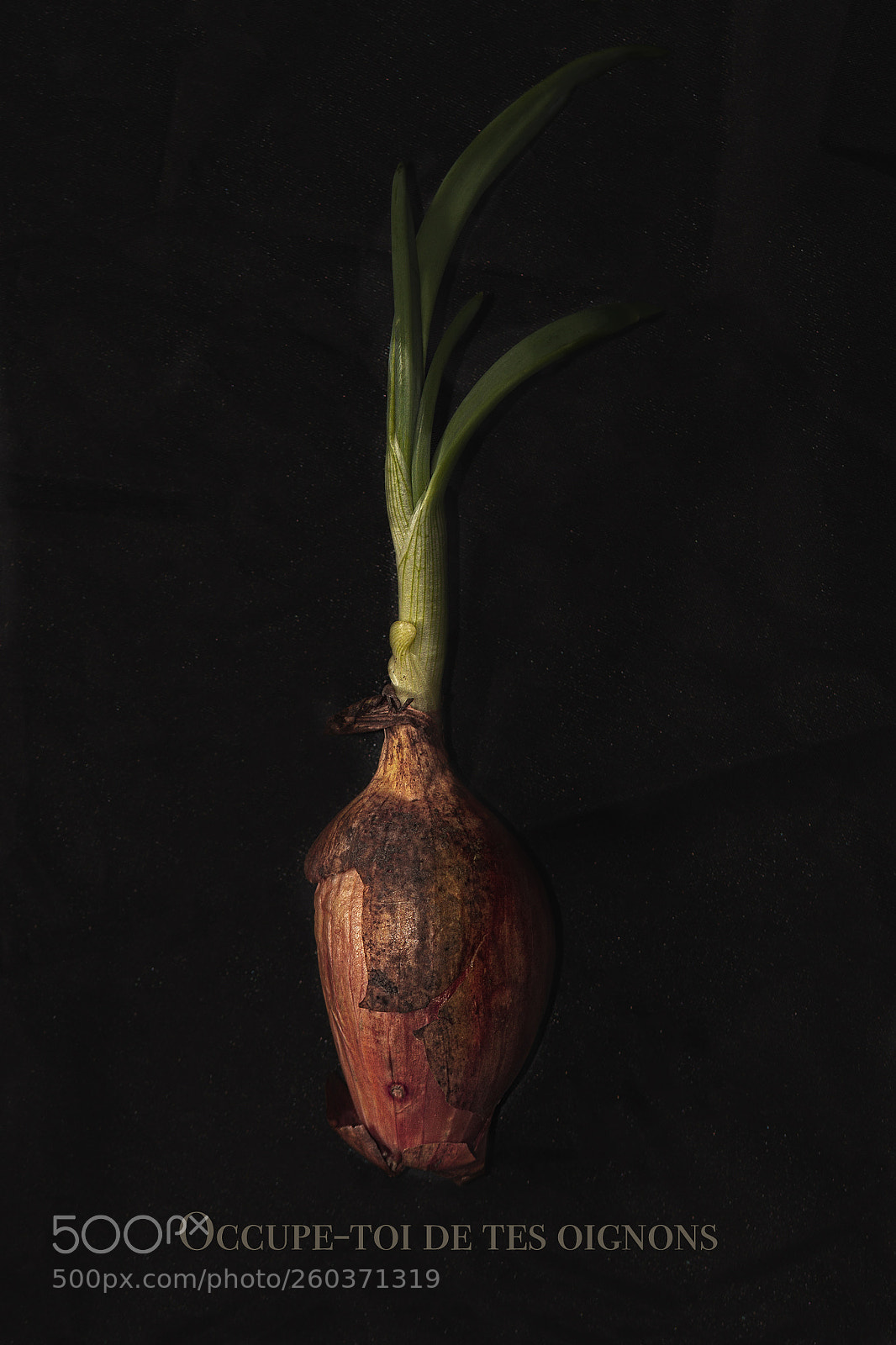 Canon EOS 7D sample photo. Occupe toi de tes photography