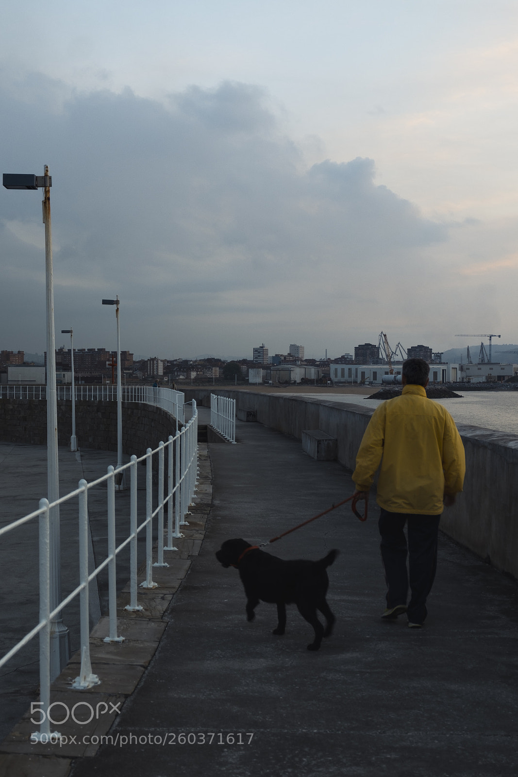 Fujifilm X-T10 sample photo. Walk. photography