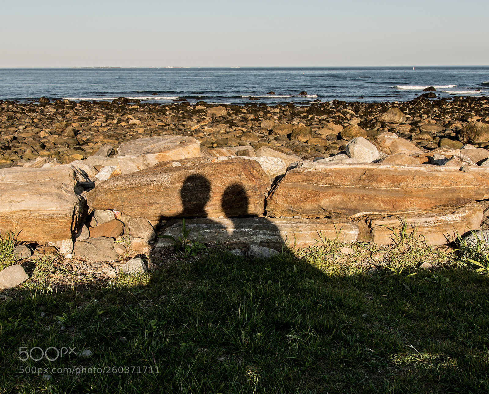 Nikon D610 sample photo. Together photography